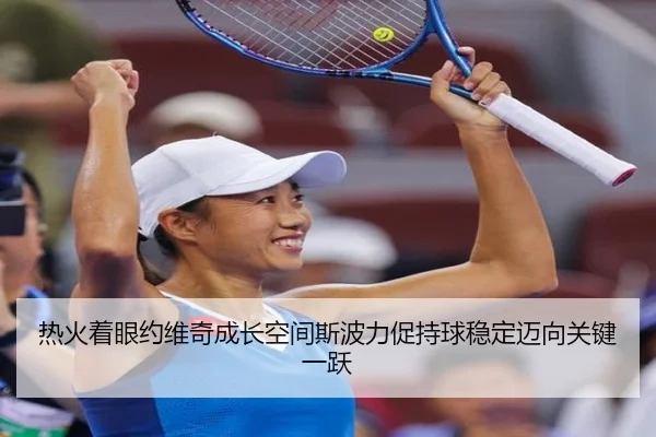 热火着眼约维奇成长空间斯波力促持球稳定迈向关键一跃